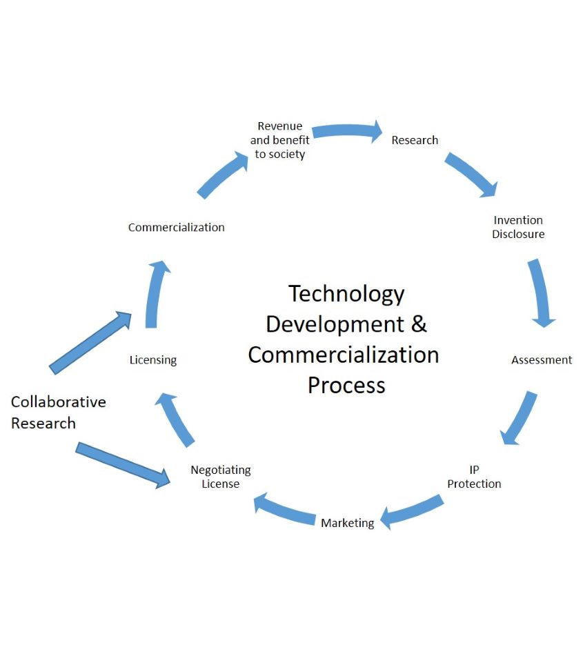 Chart depicting the licensing process.